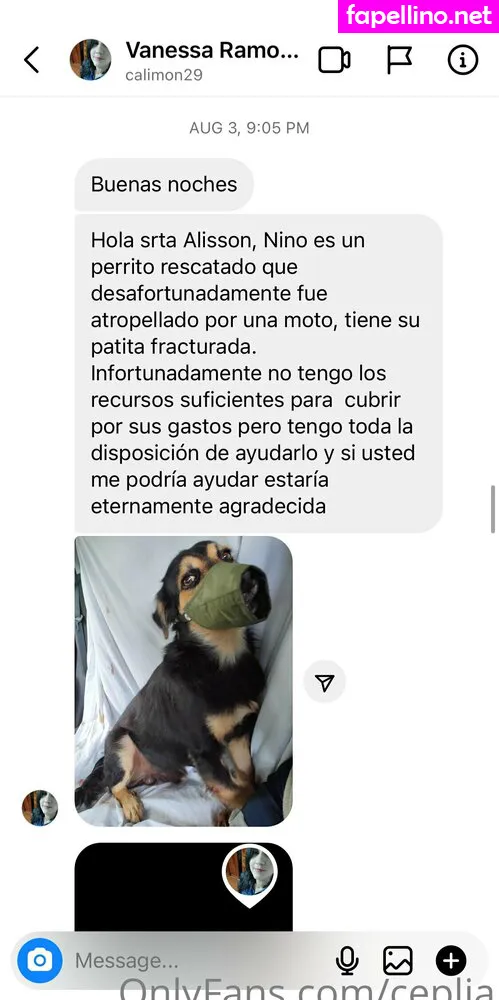 cepeliazespol, ceplia Nude Leaked OnlyFans Photo #pNqU0wJ4hG