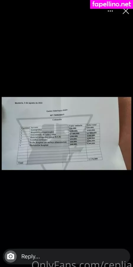 Ceplia OnlyFans Thumbnail #shJkSQgNNG