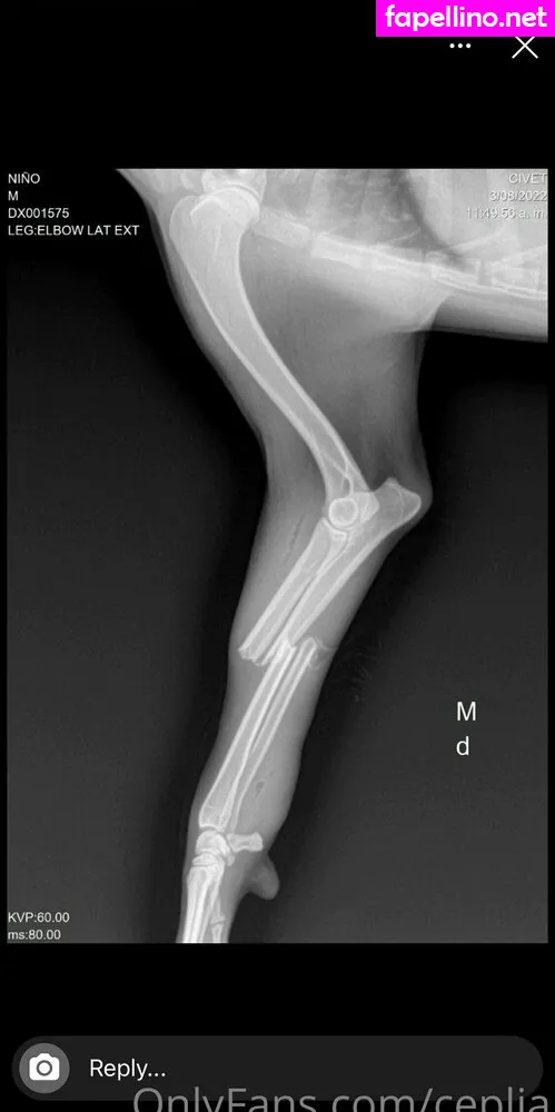 cepeliazespol, ceplia Nude Leaked OnlyFans Photo #y8V7csJgQT