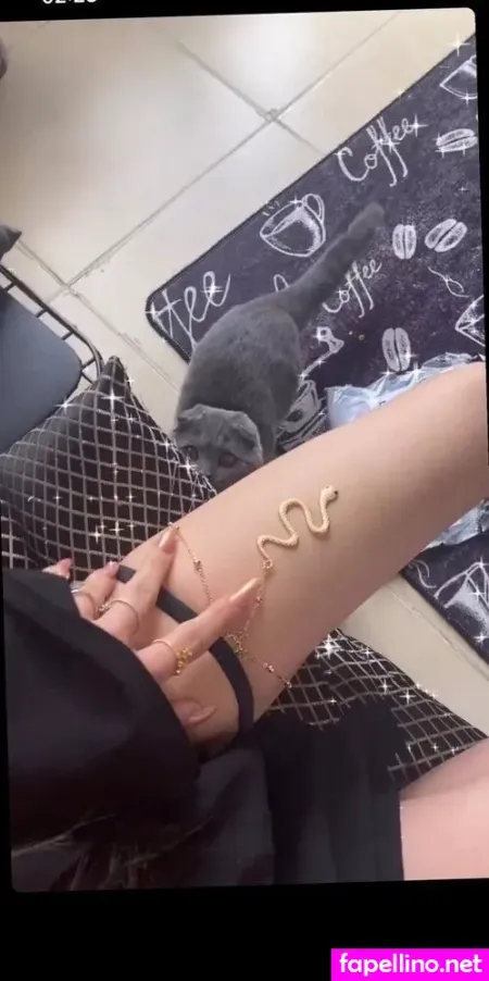 Cerhawka Main Profile Photo