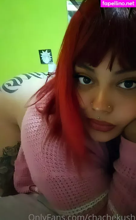 Chachekush420 OnlyFans Thumbnail #HXzGRQbbx2