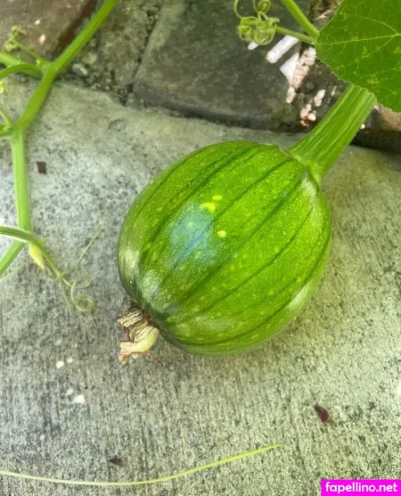 Chai Latte55 OnlyFans Thumbnail #5nfZxsN6pz