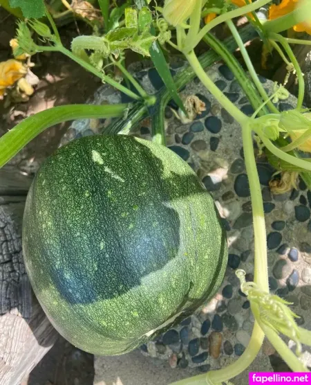 Chai Latte55 OnlyFans Thumbnail #E3p4riaMfd