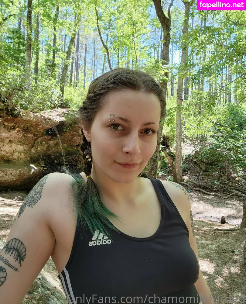 chamomileforbed, chamomileforest Nude Leaked OnlyFans Photo #fAuZgA6j6S