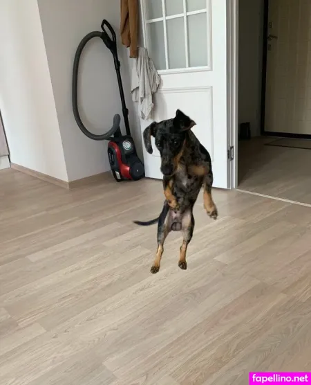 Charapin OnlyFans Thumbnail #dUpw9M0US2