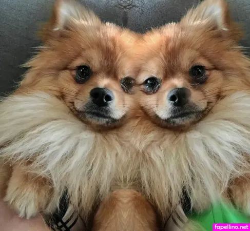 Charlie Dee OnlyFans Thumbnail #v9y5jPvffK