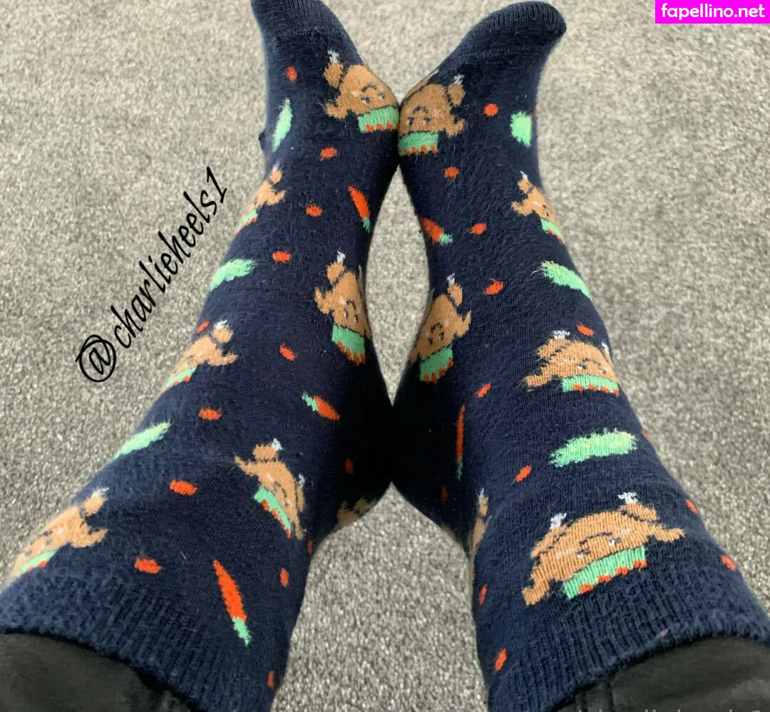 charlenehills1, charlieheels1 Nude Leaked OnlyFans Photo #fTA89bh7jv