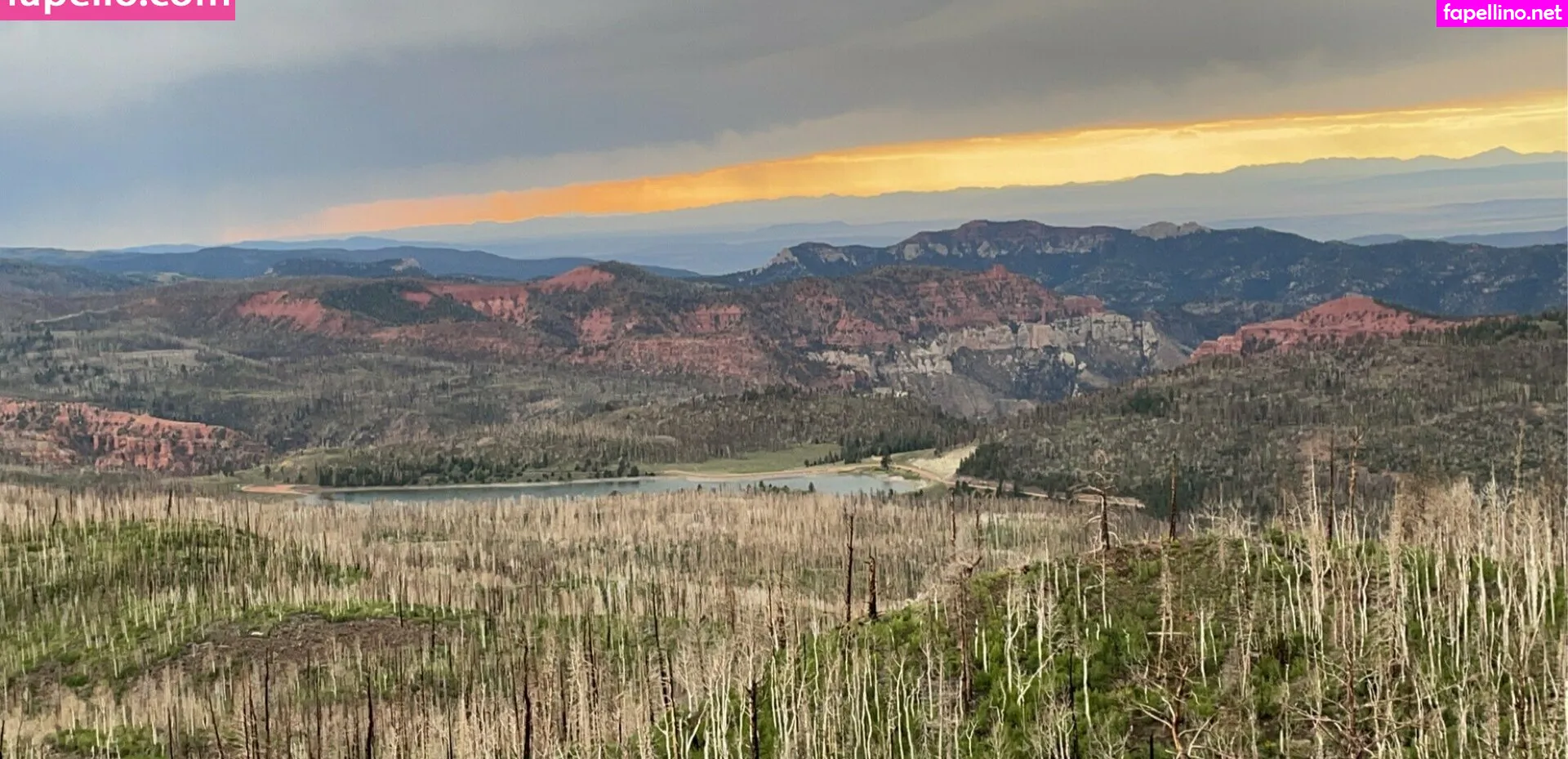 _cheeckey_, cheekz26 Nude Leaked OnlyFans Photo #qs3j7VBtDT