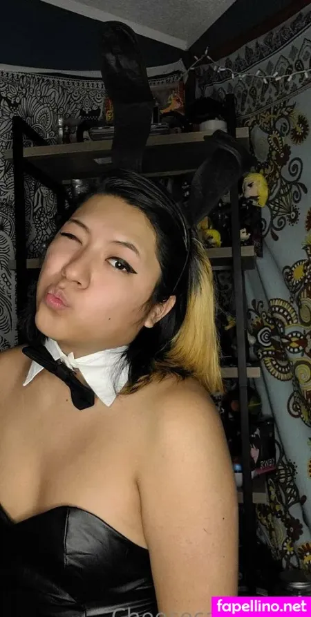 Cheesecake Neko Main Profile Photo