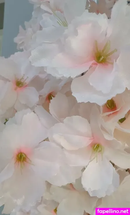 Cherryblossom OnlyFans Thumbnail #oWfOyrqI2r