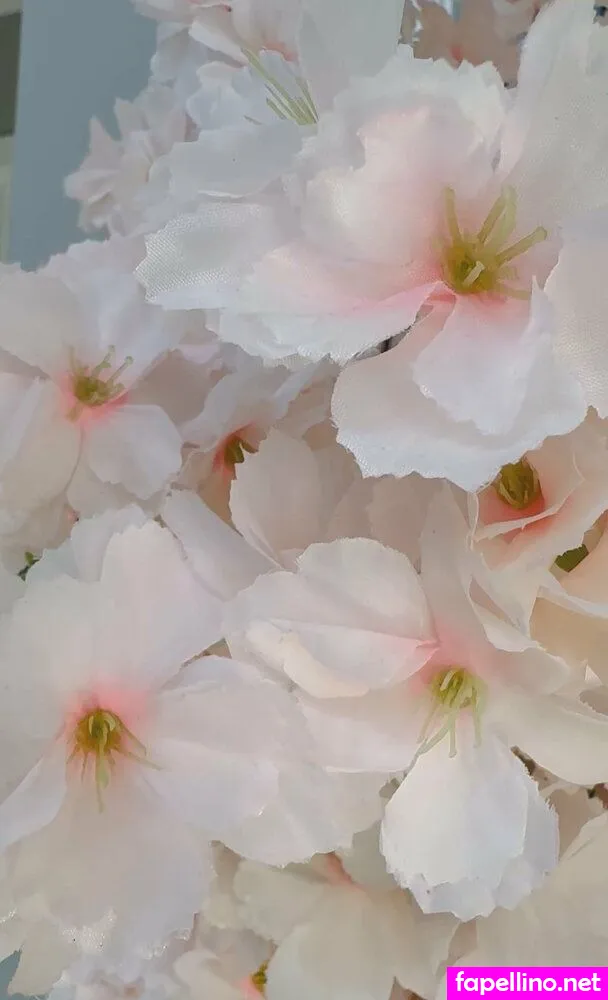 cherryblossom Nude Leaked OnlyFans Photo #oWfOyrqI2r