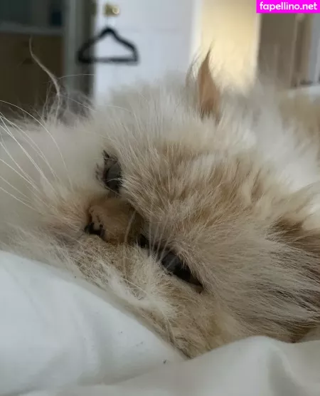 Chibibyte OnlyFans Thumbnail #4knZlrZ3Sz