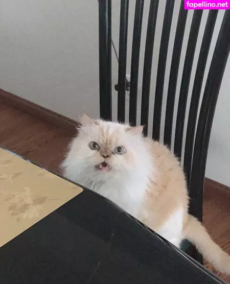 Chibibyte OnlyFans Thumbnail #WqeaU93II4