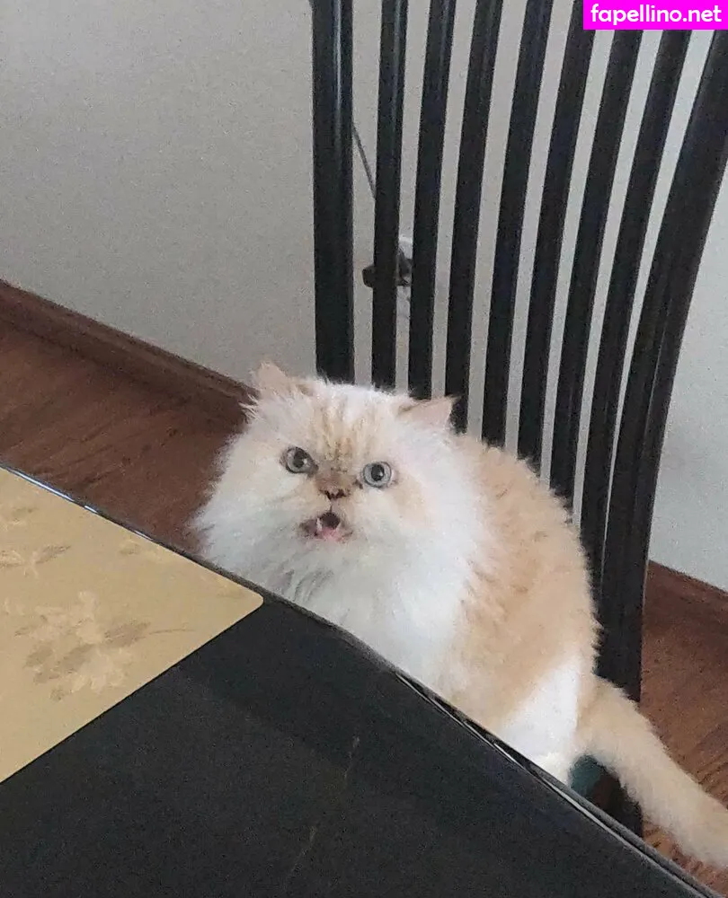 chibibyte Nude Leaked OnlyFans Photo #WqeaU93II4