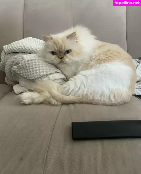 Chibibyte OnlyFans Thumbnail #ygFODaRT2f