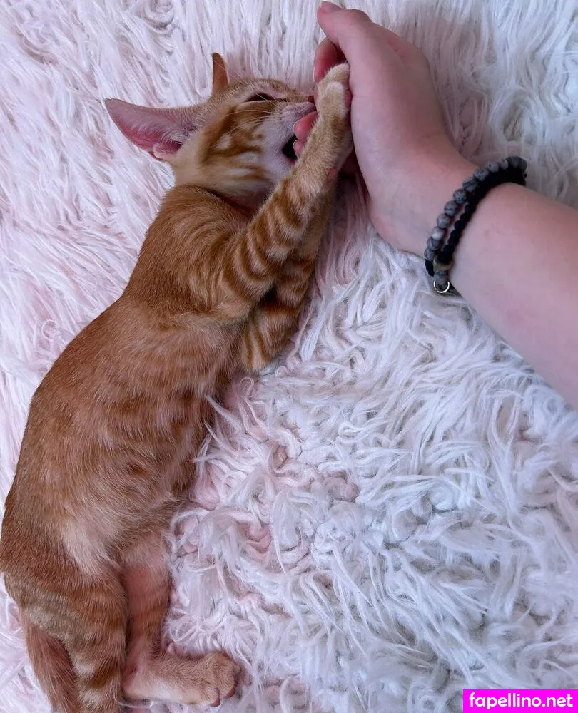 chip256, photosbychip Nude Leaked OnlyFans Photo #qlUEVCw0K5