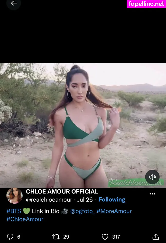 chloeamour, realchloeamour2.0 Nude Leaked OnlyFans Photo #oqTpdbCcsf