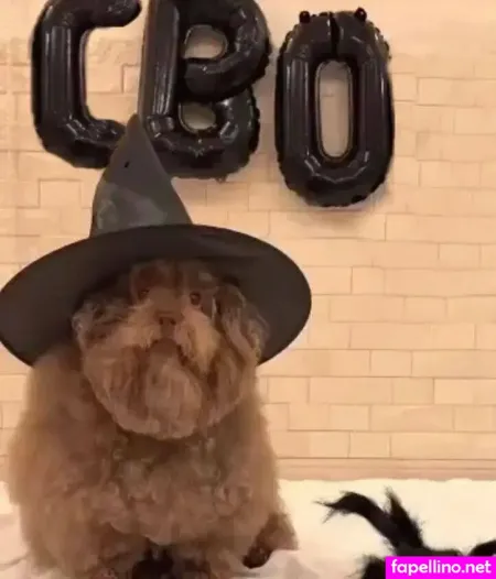 Chloeimany OnlyFans Thumbnail #2rdSwNkOxN