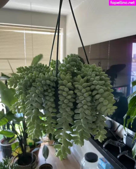 Chunkynymph OnlyFans Thumbnail #ZOAG7R8fNU