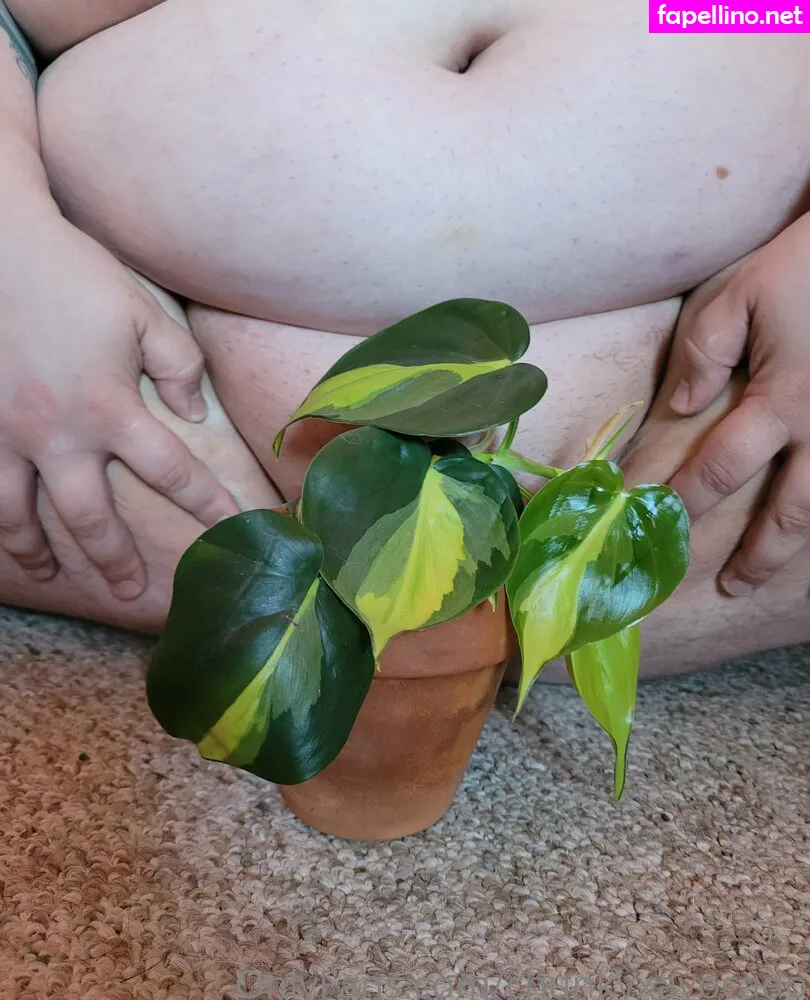 bananavocado, chunkyxavocado Nude Leaked OnlyFans Photo #VsNNqiU1G1