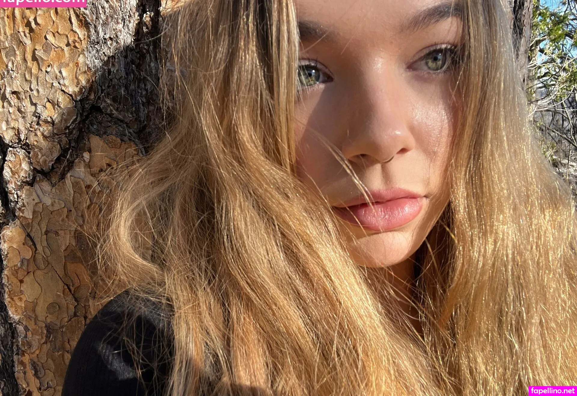 cierrasky, sierraaaskyee Nude Leaked OnlyFans Photo #vx2zhlwWpp