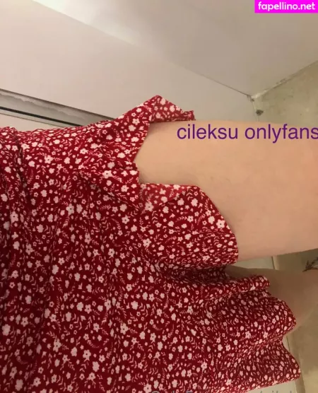 Cileksu OnlyFans Thumbnail #pAHFZeEd1h