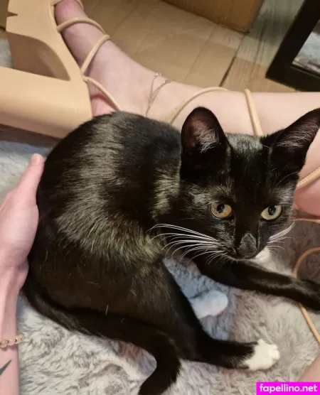 Cinafree OnlyFans Thumbnail #r72GTiEdH2