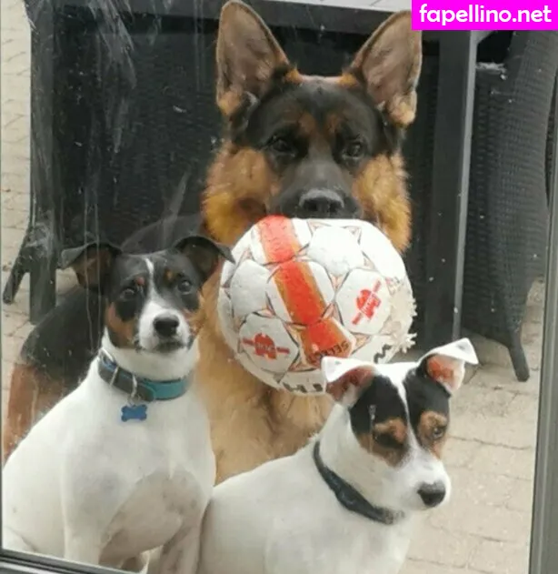 cindarellaa__, cindarellalou Nude Leaked OnlyFans Photo #eLjlZLFx2x