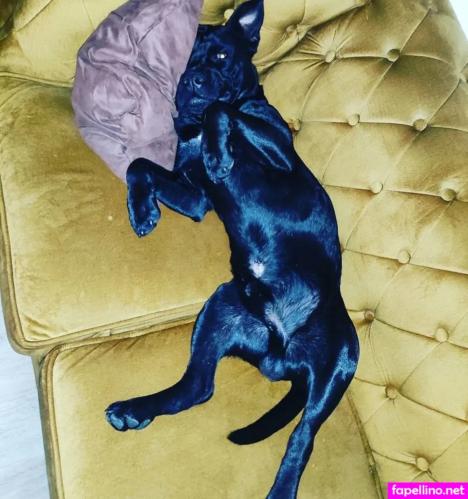 CINDY BREUER Nude Leaked OnlyFans Photo #vnGTmBgWqe