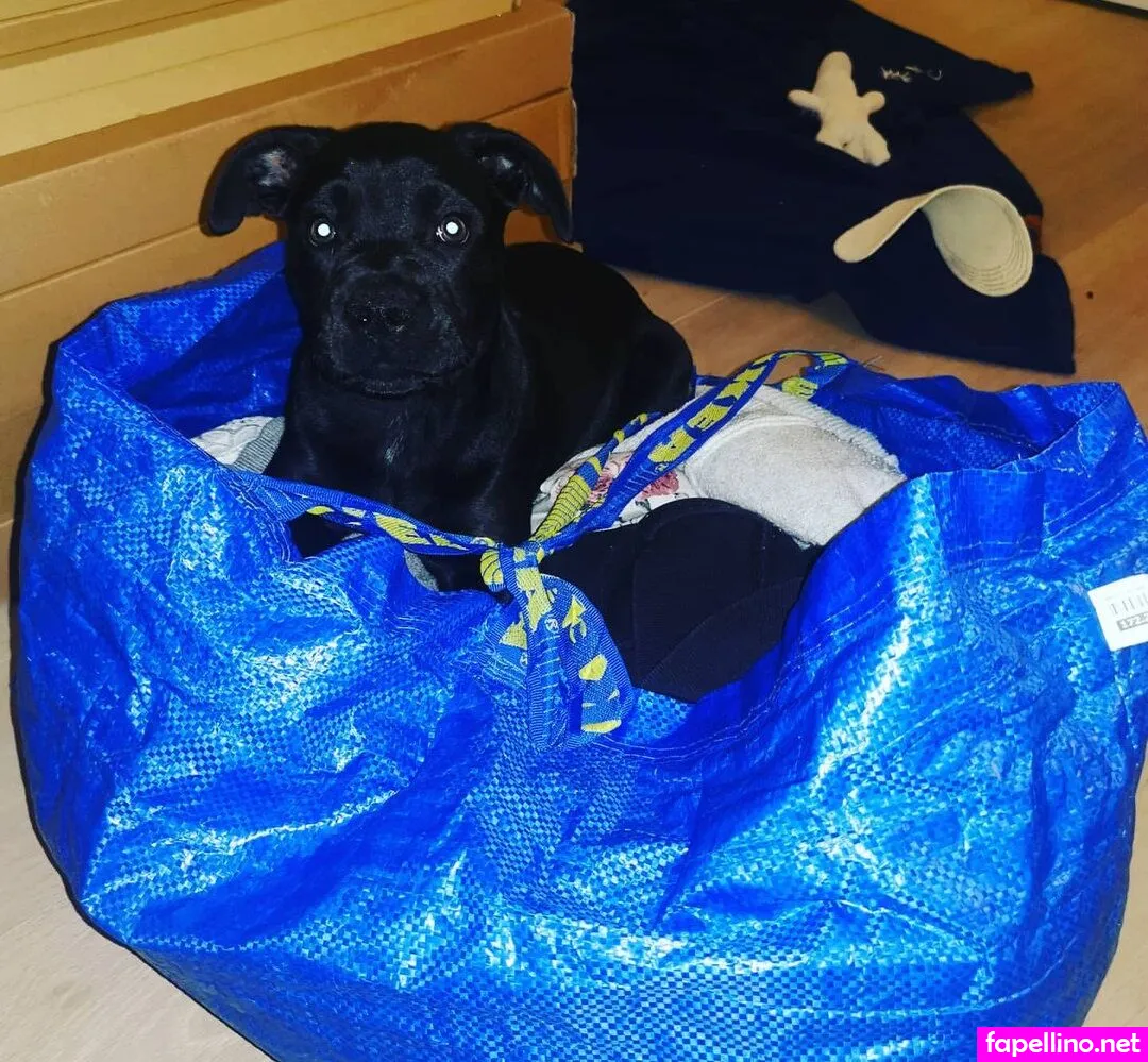 cindy_cindina Nude Leaked OnlyFans Photo #KfT3HSRIRS