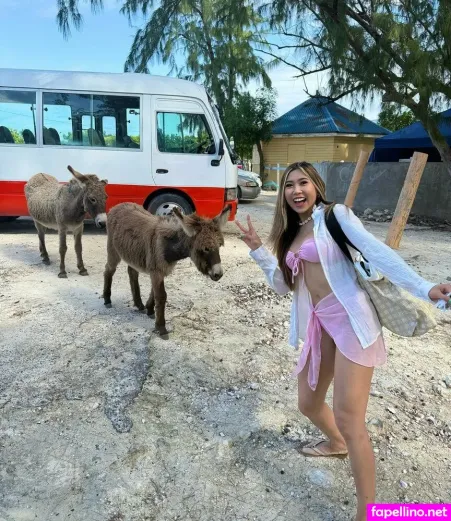 Cindy Vu Main Profile Photo