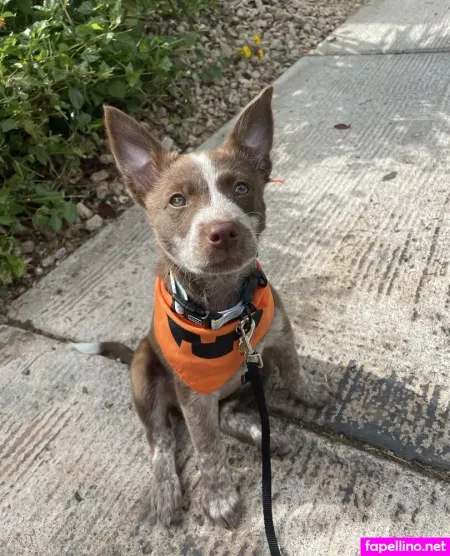 Cinnilewds OnlyFans Thumbnail #6C5OjsOTsA