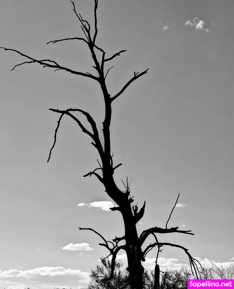 cissaldansinferno Nude Leaked OnlyFans Photo #plqftQXOsf