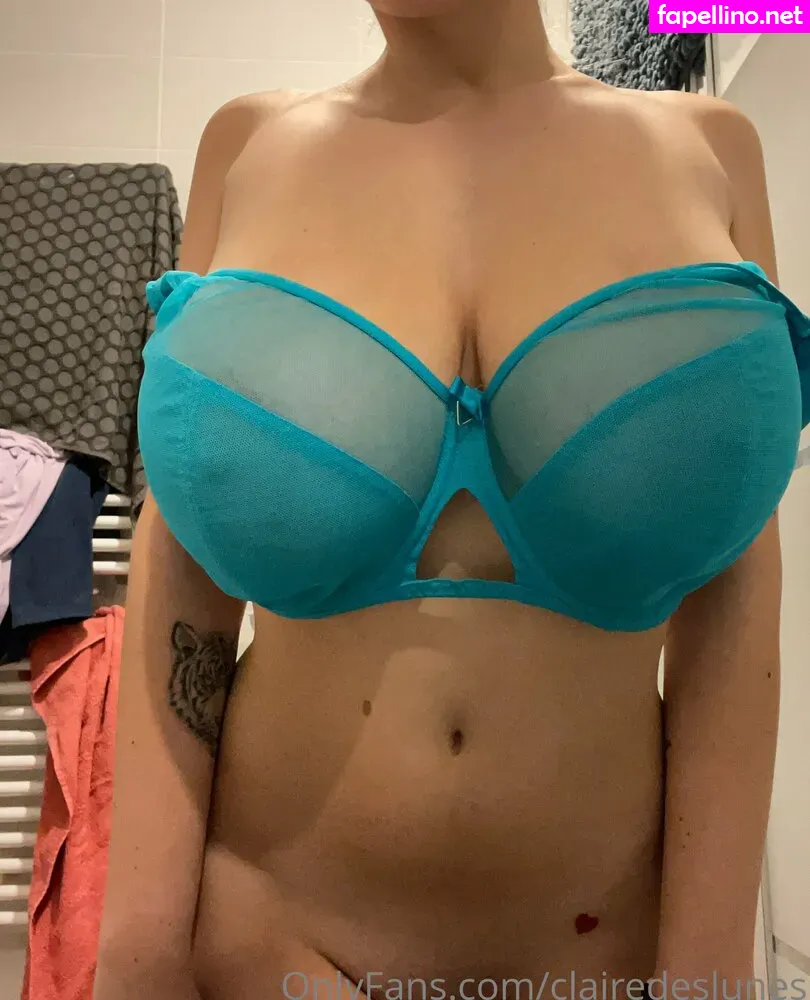 cdeslunes, clairedeslunes Nude Leaked OnlyFans Photo #jPrT8s9BVI