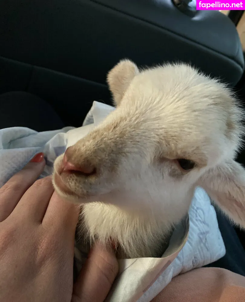 c_drew5, clairrobinsvip Nude Leaked OnlyFans Photo #i8eJdyUXYZ