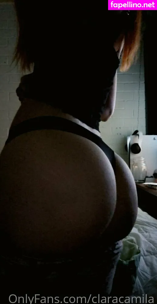 claracamila, claracamila16 Nude Leaked OnlyFans Photo #mG13HyDAyg