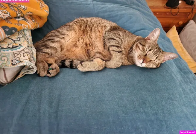 Claracrispfree Main Profile Photo