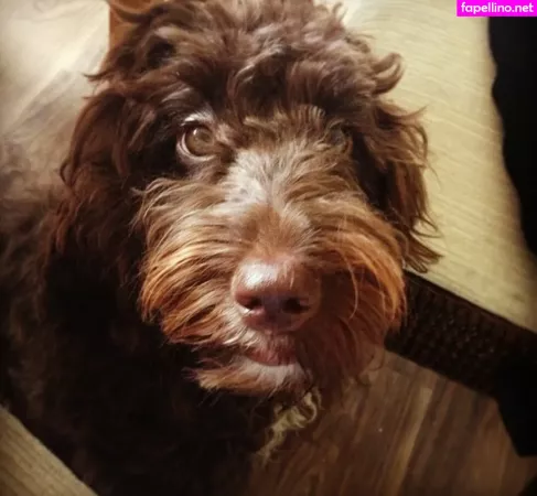 Clelia Theodorou OnlyFans Thumbnail #cMbrET5xTK