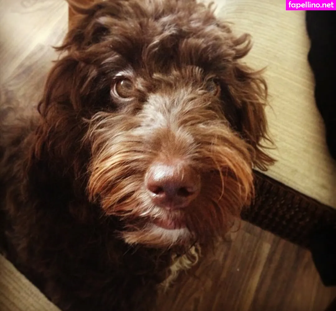 clelia_theo, cleliatheodorou Nude Leaked OnlyFans Photo #cMbrET5xTK