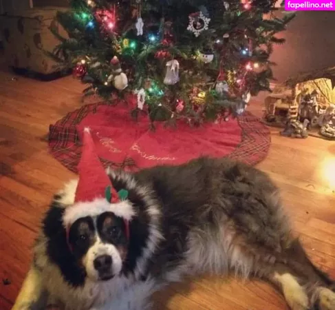 Cloverbaltimore OnlyFans Thumbnail #YW2fXwowmr