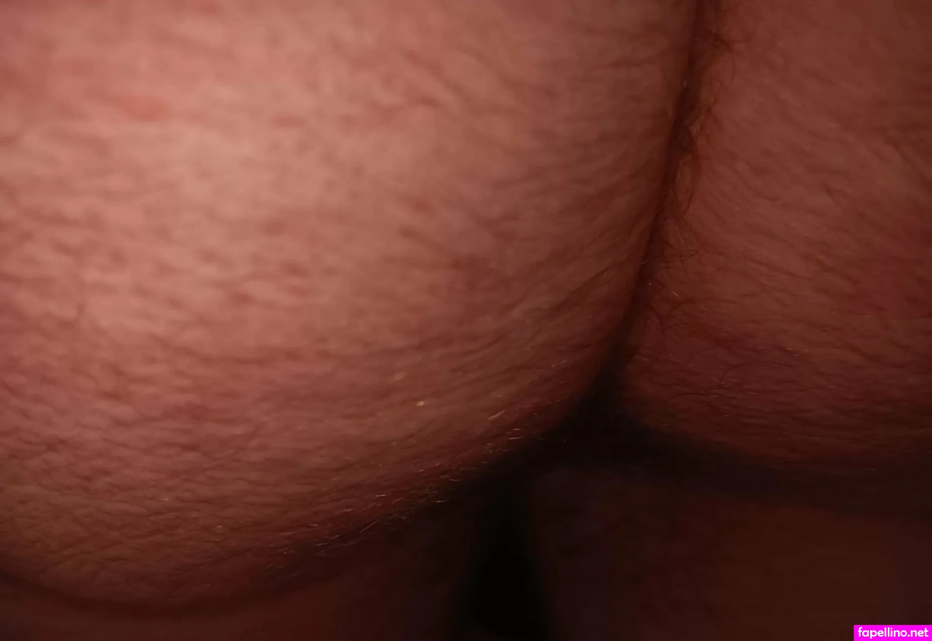 cnaprincess, sharmajoyshree Nude Leaked OnlyFans Photo #zZHebG6YEr