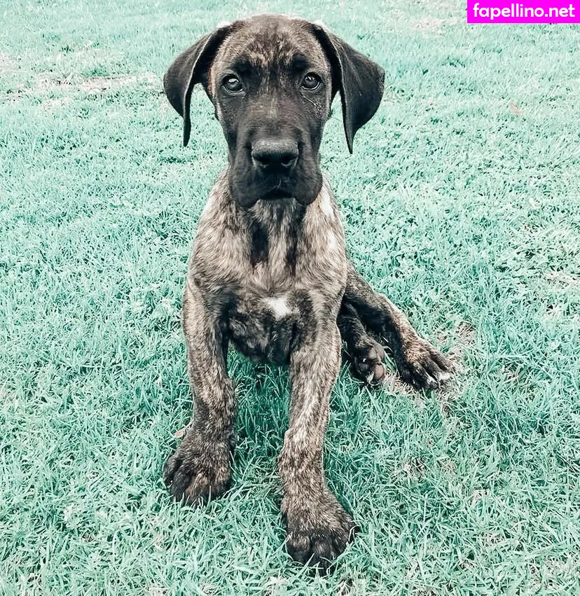 cobymj, cobyymj Nude Leaked OnlyFans Photo #i7PrBw6ZSM