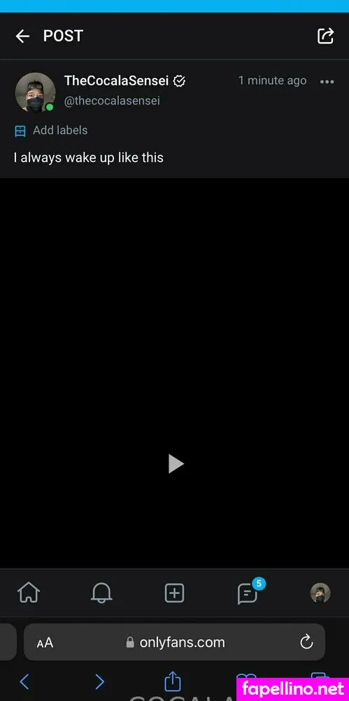 cocalasensei, cocastl Nude Leaked OnlyFans Photo #wswD4lkhUS