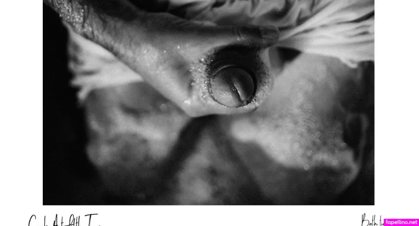 Cock Art OnlyFans Thumbnail #z6AcYd6orU