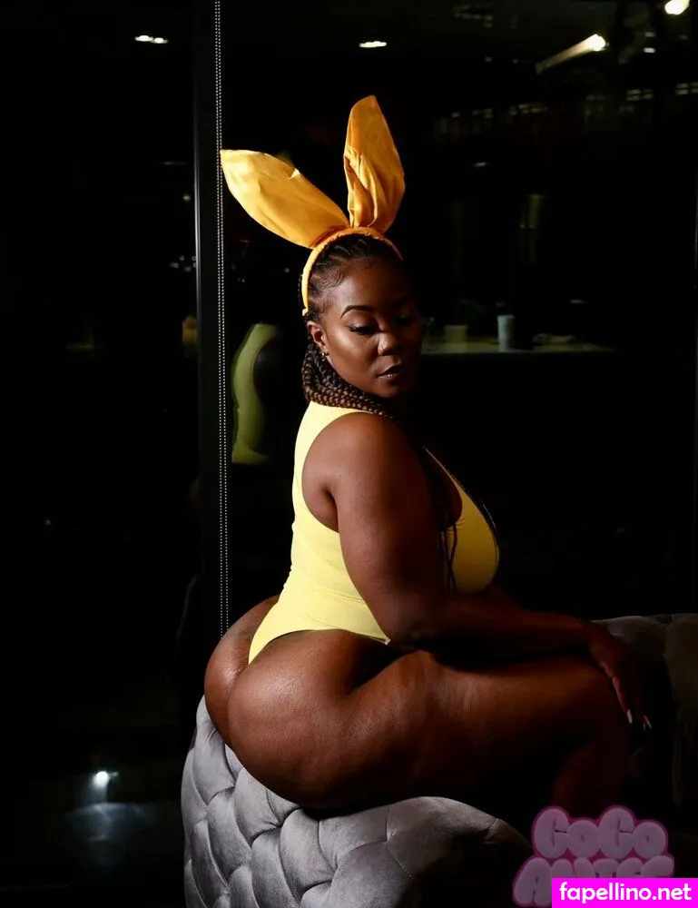 coco_anise, cocoanisebackup Nude Leaked OnlyFans Photo #JaKvuYgGMP