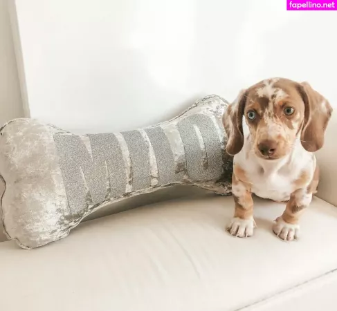 Coco Lodge OnlyFans Thumbnail #YfYYkJ4WVj