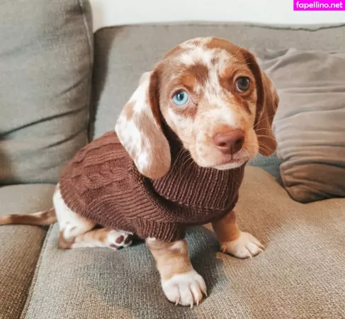 Coco Lodge OnlyFans Thumbnail #Zpk3HLXzUu