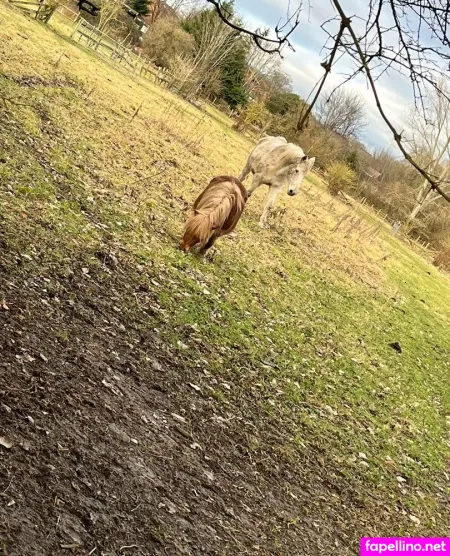 Cocobean1098 OnlyFans Thumbnail #FAjuUXlYGe