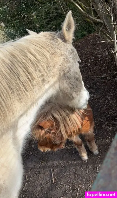 Cocobean1098 OnlyFans Thumbnail #fuLlxyEVec