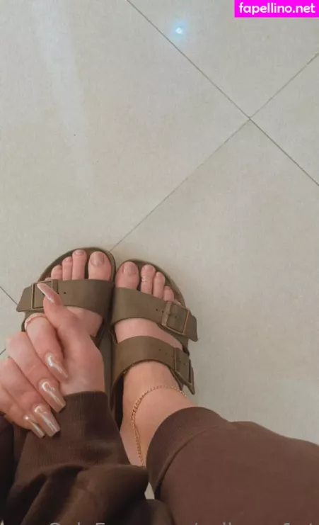 Colleges1ut Main Profile Photo